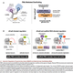 Illustration for article titled New Technique Allows Bioengineers To Reprogram Genetic Code
